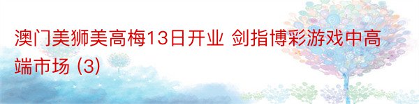 澳门美狮美高梅13日开业 剑指博彩游戏中高端市场 (3)